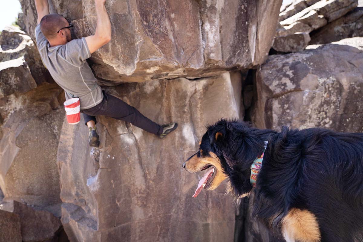 Bouldering with dog (La Sportiva TC Pro climbing shoes)